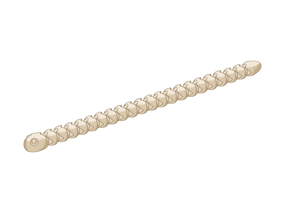 Preview of Cute articulated snake